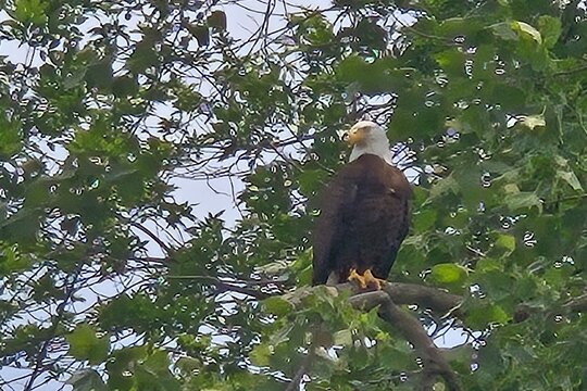 Tour image 8